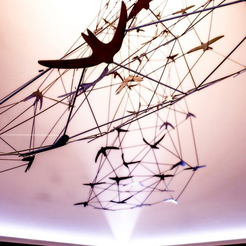 cross fly birds - Alfonso Doncel