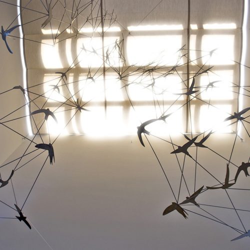 cross fly birds - Alfonso Doncel